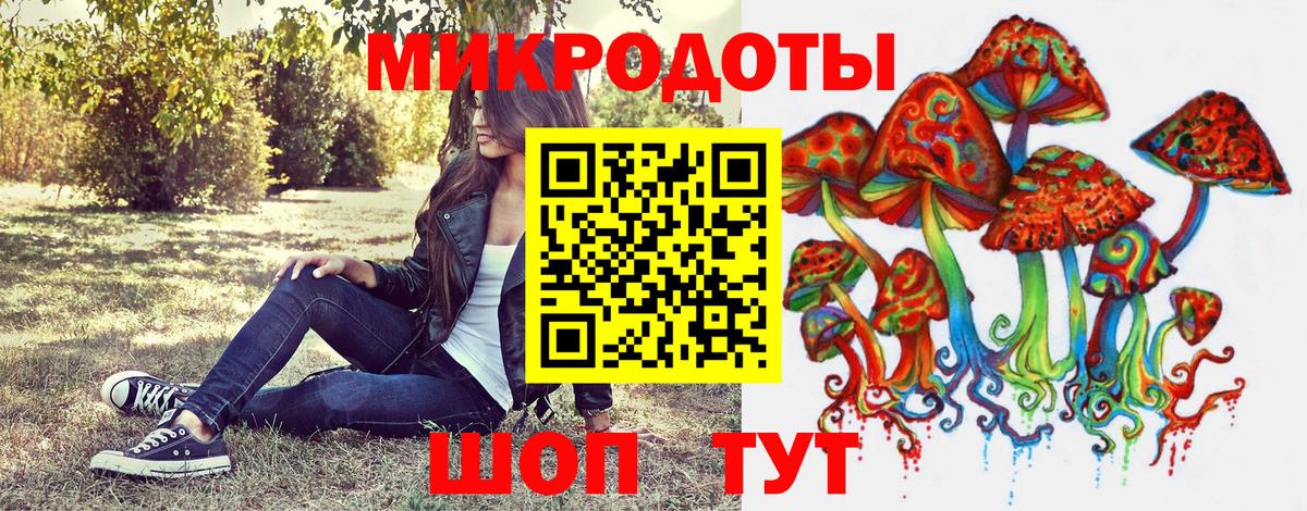 Галлюциногенные грибы Psilocybine cubensis Славгород