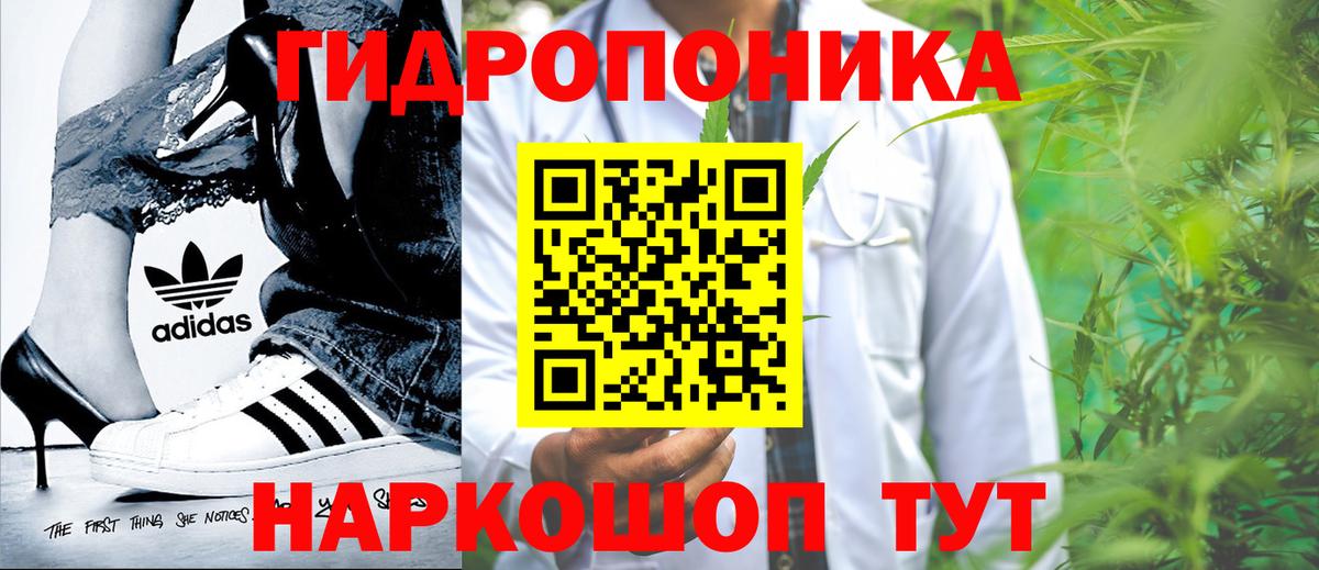 Бошки Шишки THC 21%  Канабис Bruce Banner  Марихуана сатива  Славгород  Вход с VPN 